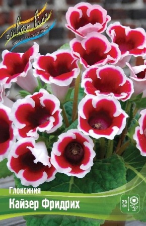 0270d0de-3741-11eb-b90a-005056c00008-1