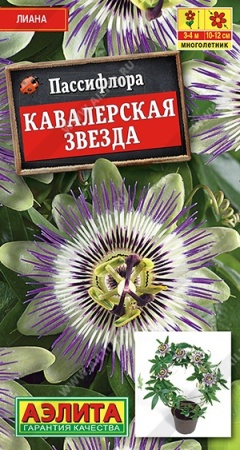 e2b8981a-d463-11e7-8e4e-001e673ebdea-1