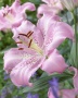 5b1eba8f-7163-11ed-be6f-001e673ebdea-2