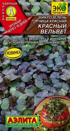 2a9b873b-0a6d-11ec-a8a4-005056c00008-1