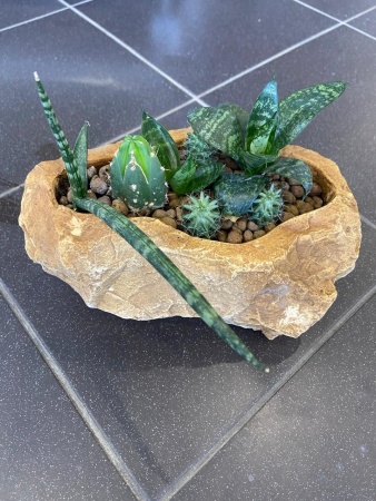 10861d7a-54a7-11ef-8910-246e9611e8f6-2