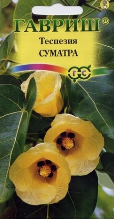 9a96564f-59d7-11e0-b405-00500454e615-2