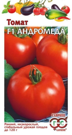 d933aa13-a395-11e8-9ac1-005056c00008-1