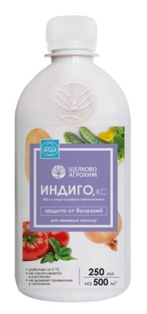 c05f5cf8-d1b3-11f0-891e-246e9611e8f6-1