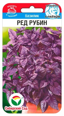 9773dfe0-5814-11f0-891a-246e9611e8f6-1