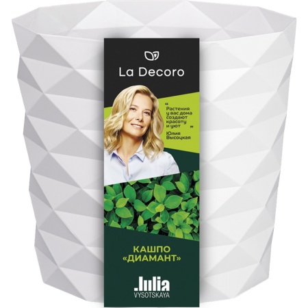 9d04dc8b-da3f-11ef-8915-246e9611e8f5-1