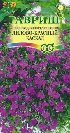 9d7e95bc-a925-11ec-bf1b-005056c00008-1