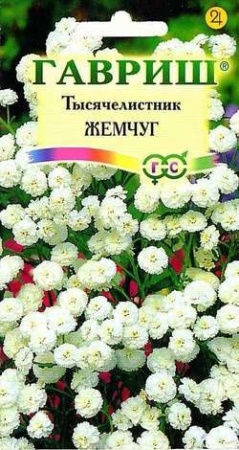 a74e35e0-dcea-11dd-9138-00500454e615-1