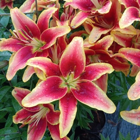 eb24e8fb-cdc3-11f0-891e-246e9611e8f6-1