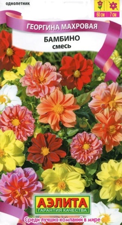 931e9159-33e8-11df-883c-0019dbe91ea3-2