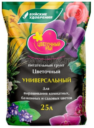 4af8162d-cbc7-11ee-890a-246e9611e8f5-1