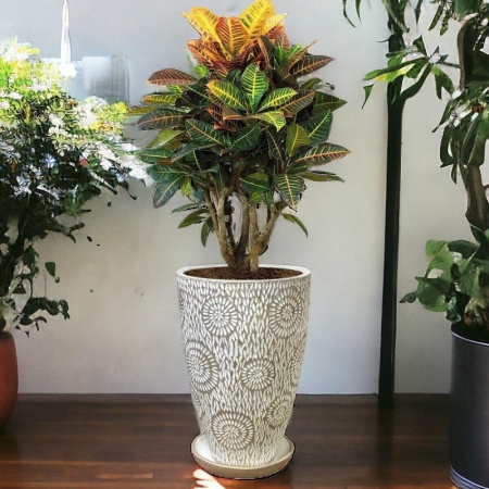 89692dc9-27c5-11ef-890e-246e9611e8f7-1