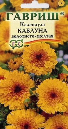 0882906c-1f92-11e3-8fce-00500454e615-2