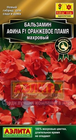 cc8c1336-4cee-11e3-98e1-00500454e615-1