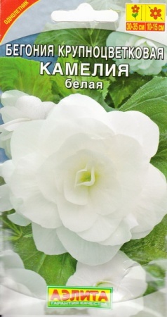 56ea0407-65e8-11e2-9b29-00500454e615-2