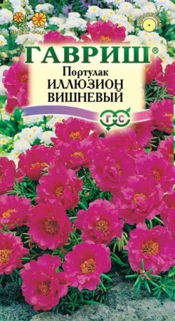 6e79e12d-0acb-11e2-9c64-00500454e615-1