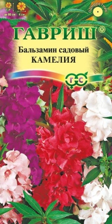 6a97b494-dcea-11dd-9138-00500454e615-1