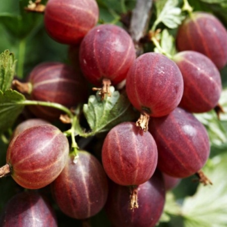 a9600571-0237-11ef-890b-246e9611e8f5-1