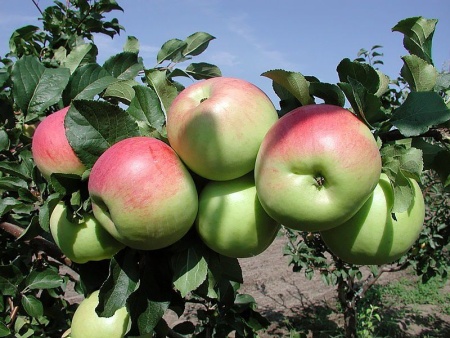 709a2834-2fdf-11f0-8918-246e9611e8f6-1