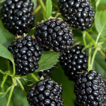 c37e7de2-cc20-11ef-8915-246e9611e8f5-1