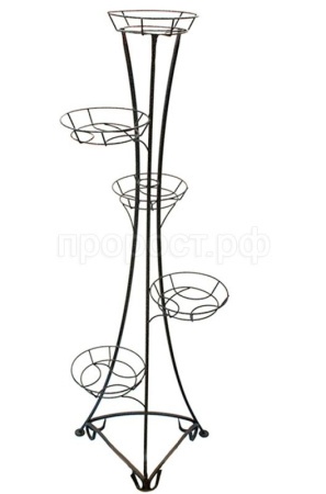 ec4b9c0a-75b0-11ef-8911-246e9611e8f6-1