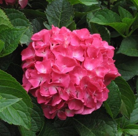 93246f9c-55aa-11f1-892a-246e9611e8f6-1