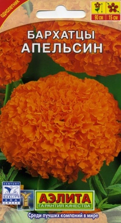 6a97b4c8-dcea-11dd-9138-00500454e615-2