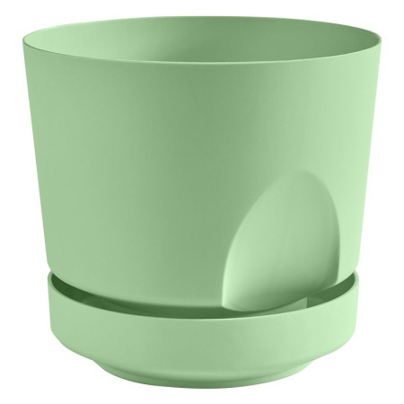 03607d9c-da54-11ef-8915-246e9611e8f5-1