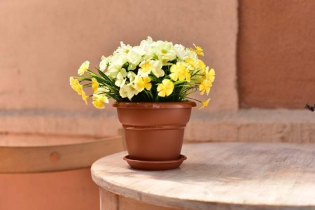 88ca94b9-56a9-11ed-aea3-001e673ebdea-1