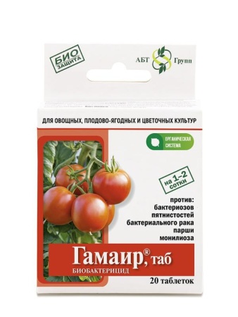 70f41aab-dcea-11dd-9138-00500454e615-1