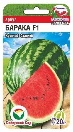 be522d7f-f375-11eb-a954-005056c00008-1