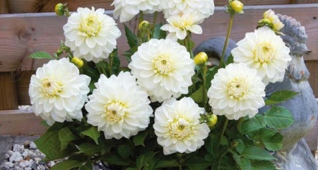 45801e9d-0c97-11f1-8924-246e9611e8f6-1