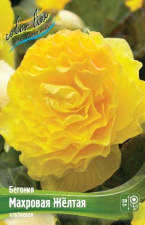 387d71ff-3740-11eb-b90a-005056c00008-1