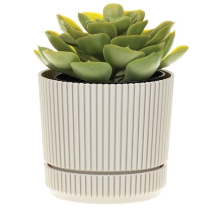 d9425fe0-5958-11ef-8910-246e9611e8f6-1