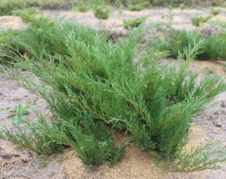 0c0bc8b6-d42b-11f0-891e-246e9611e8f6-1