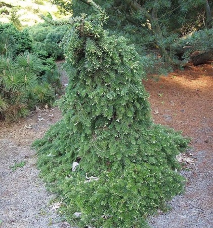 78ab524d-d4cf-11f0-891e-246e9611e8f6-1