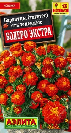 71b8fed1-f7ff-11ea-b984-005056c00008-2