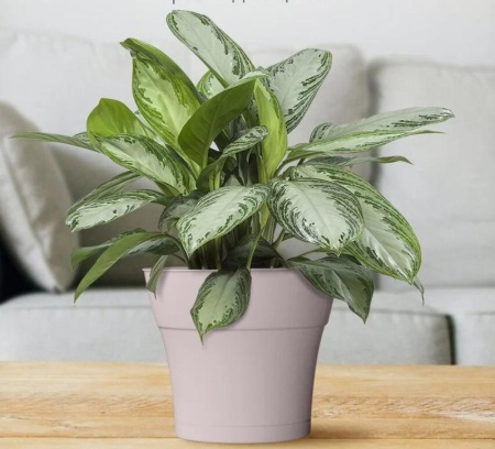 f6e30f98-5684-11ed-aea3-001e673ebdea-1