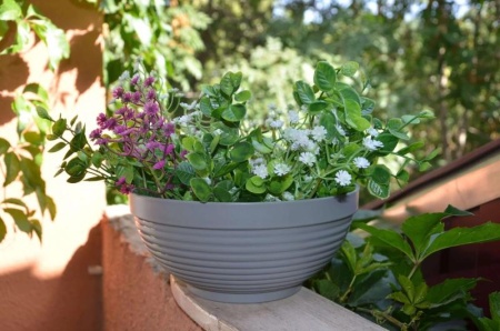 b4bf6908-58d0-11ed-aea3-001e673ebdea-1