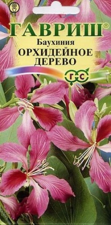 40441bfa-e278-11df-b975-0019dbe91ea3-1