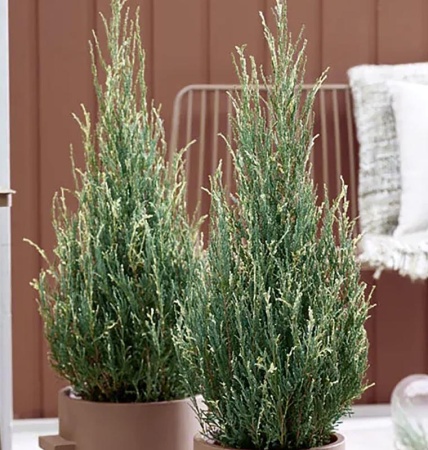 5c14c4a4-e5e3-11ee-890a-246e9611e8f5-1