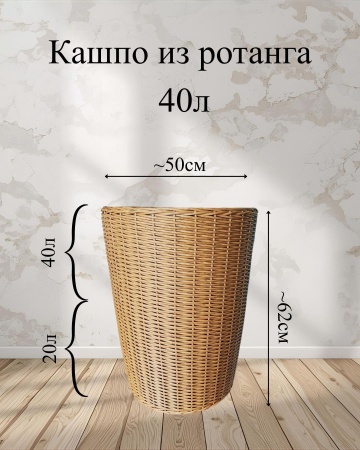 2493e568-df17-11f0-891e-246e9611e8f6-2