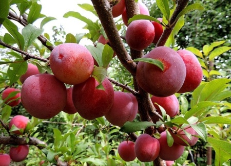 6a1babf1-cc07-11ef-8915-246e9611e8f5-1