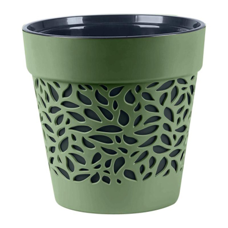 bea2b199-da2e-11ef-8915-246e9611e8f5-1