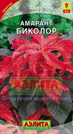 9c71ab8a-eeec-11de-87df-0019dbe91ea3-2