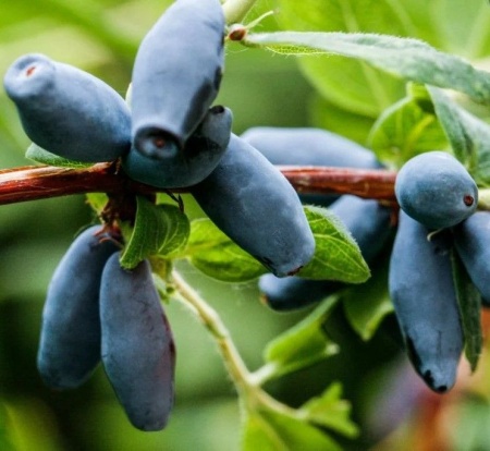 fec62cac-b8b0-11f0-891d-246e9611e8f7-1