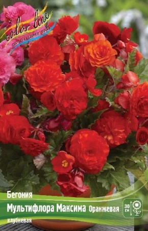 c6ca6ede-62d6-11e2-aa45-00500454e615-1