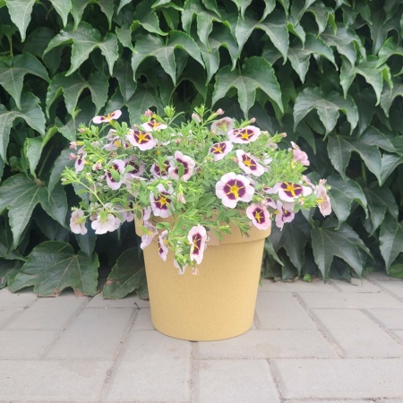 5d3d11ff-55e3-11ed-aea3-001e673ebdea-2