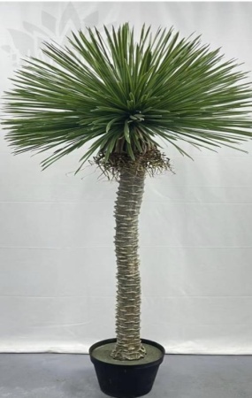 b3gaxguihhbx2po5dc1keh36drh086en