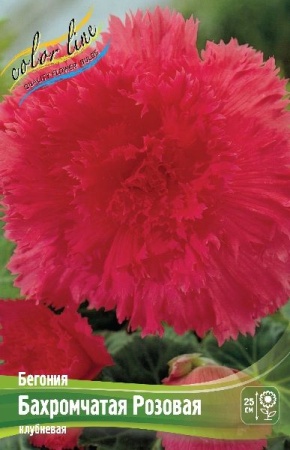 01172b5f-3740-11eb-b90a-005056c00008-1